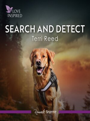 cover image of Search and Detect